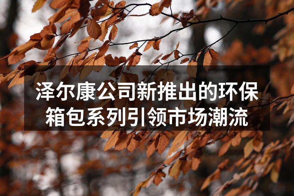 环保箱包展示